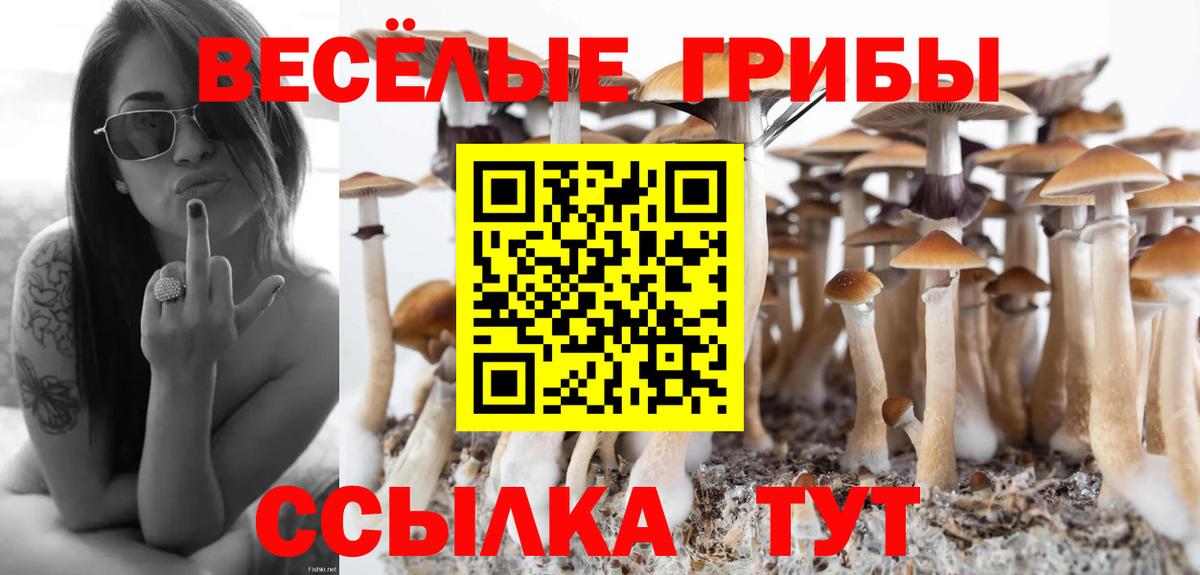 Галлюциногенные грибы прущие грибы Нягань