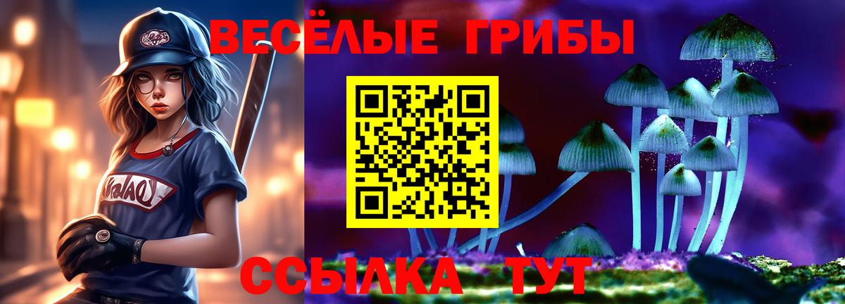 Нягань  Псилоцибиновые грибы MAGIC MUSHROOMS  Вход с VPN  Галлюциногенные грибы GOLDEN TEACHER 